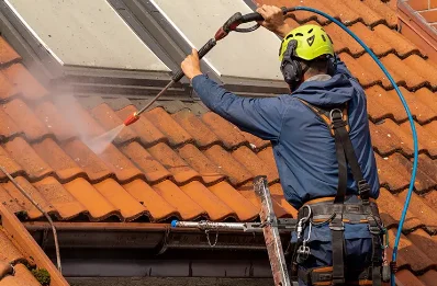 Démoussage et hydrofuge de toiture à Mouton